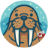 solanatools.pages.dev favicon